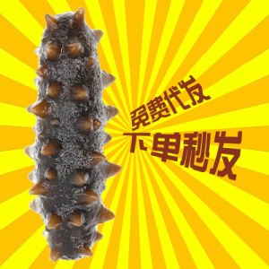 大连即食海参