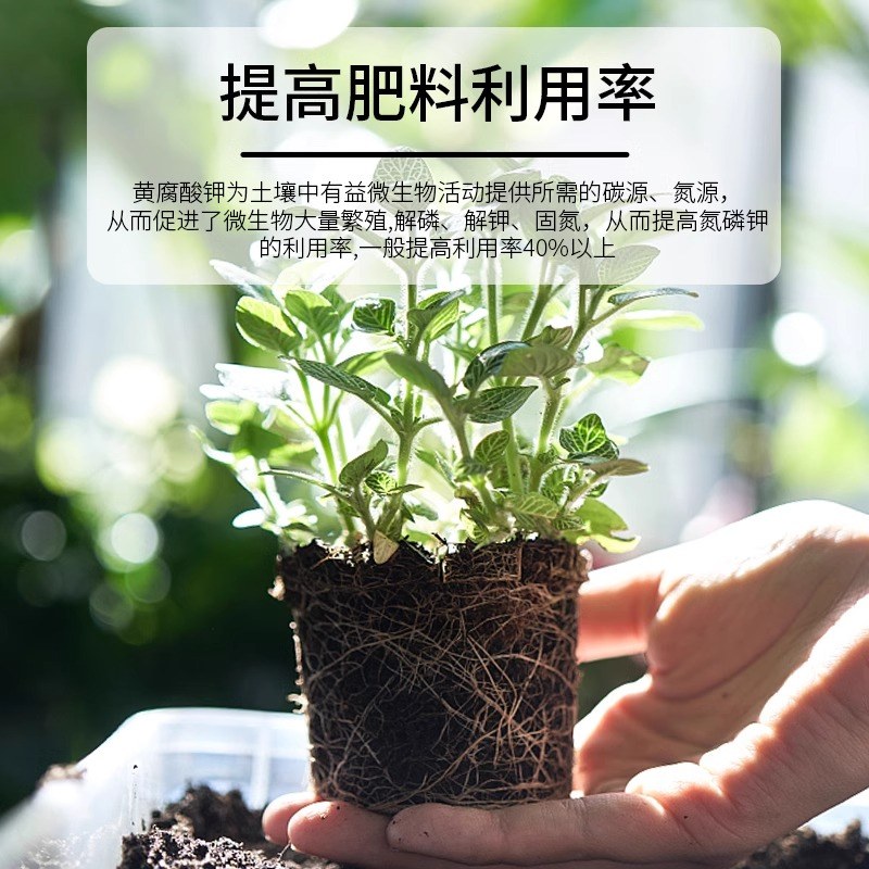 矿源黄腐酸钾腐植酸水溶肥生根壮苗调节土壤酸碱蔬菜果树药材花卉