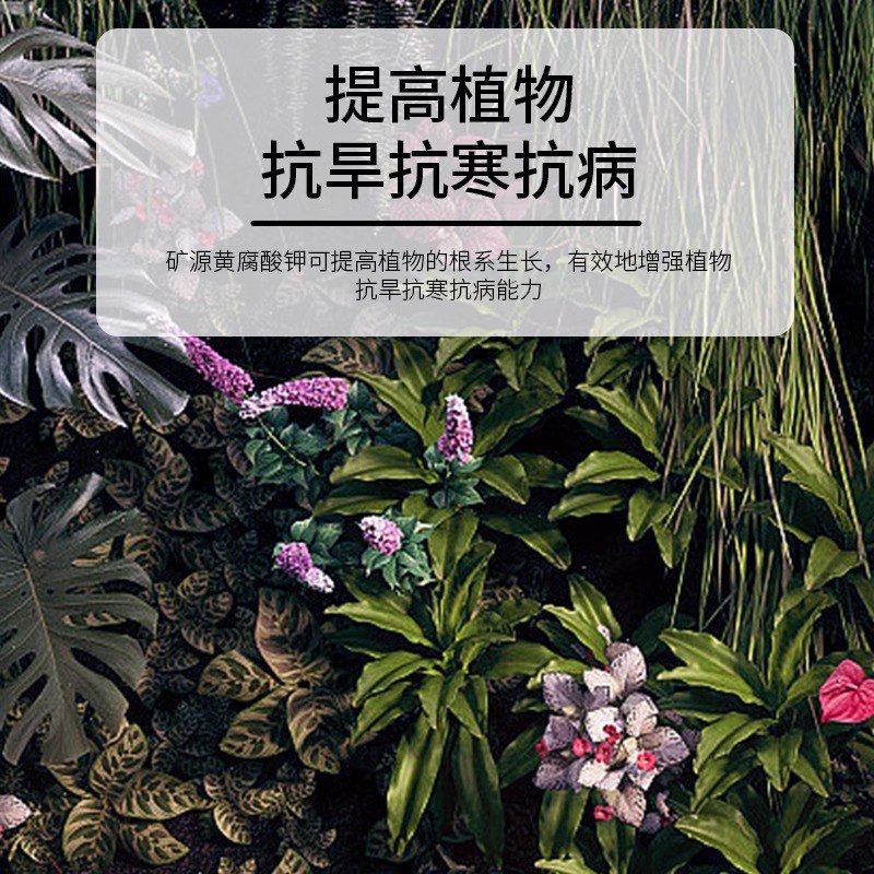 矿源黄腐酸钾腐植酸水溶肥生根壮苗调节土壤酸碱蔬菜果树药材花卉