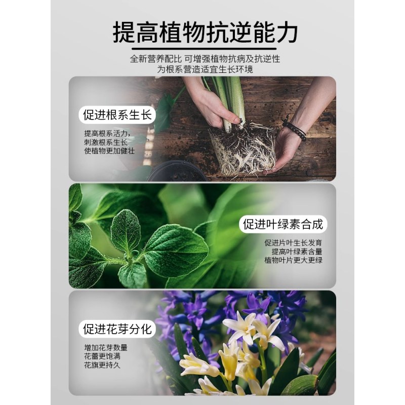 植物活力素营养水改善黄叶僵苗养花专用生长修护液花卉盆栽营养液
