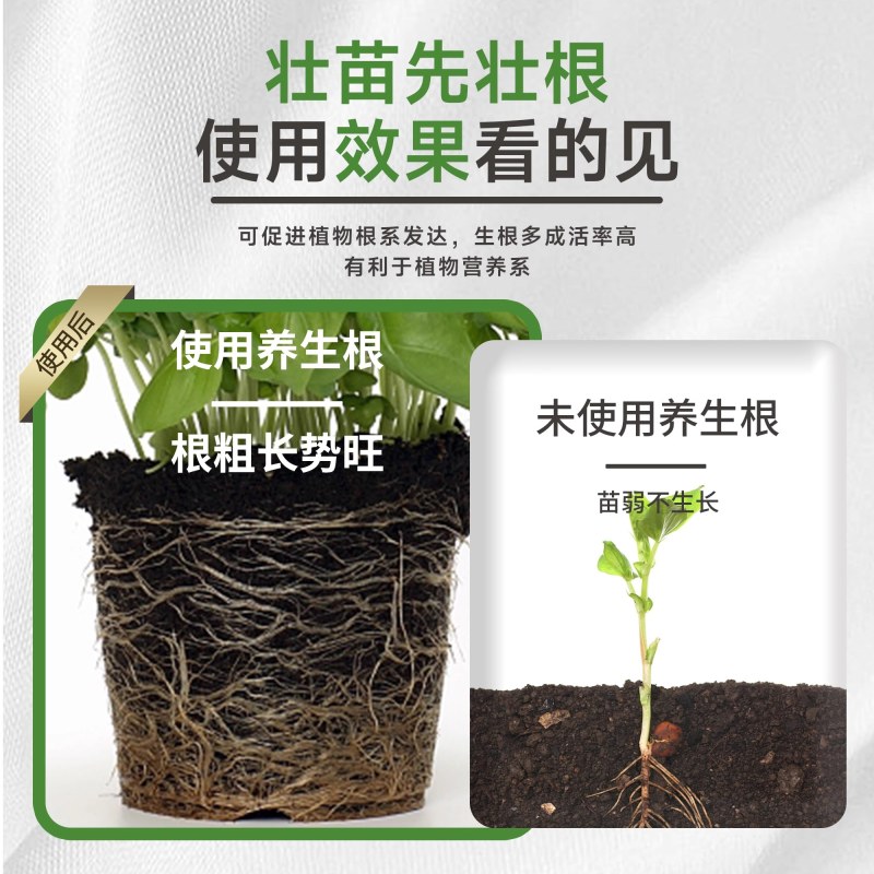 快速生根粉植物通用扦插专用强力生根营养液树木移栽壮苗水溶肥料