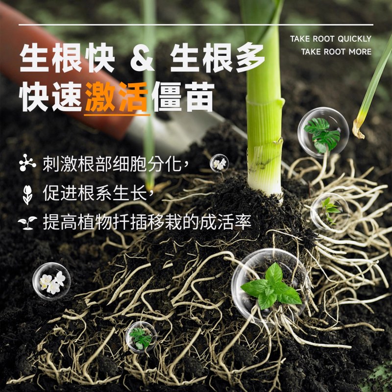 快速生根粉植物通用扦插专用强力生根营养液树木移栽壮苗水溶肥料