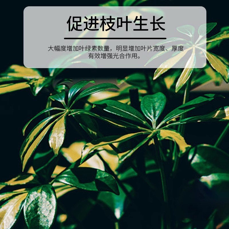 矿源黄腐酸钾腐植酸水溶肥生根壮苗调节土壤酸碱蔬菜果树药材花卉