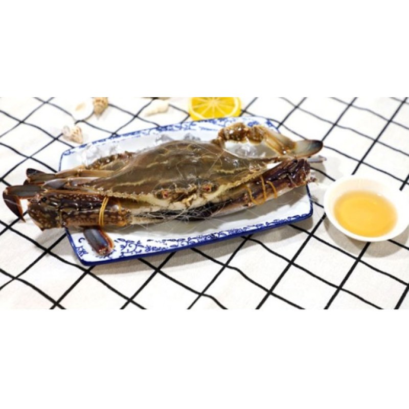 公蟹海螃蟹肉白蟹3斤5-6只