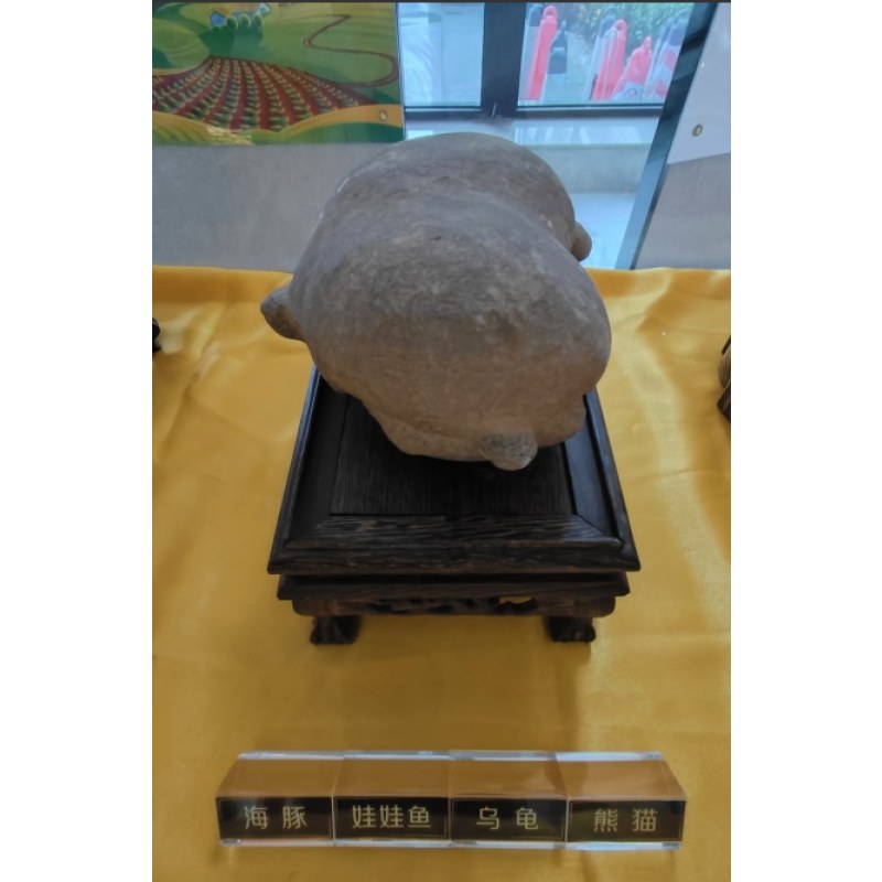 海豚