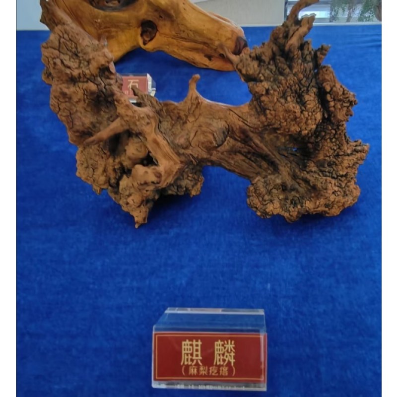 麒麟(麻梨疙瘩)