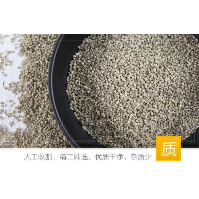 黑小米大袋2500g