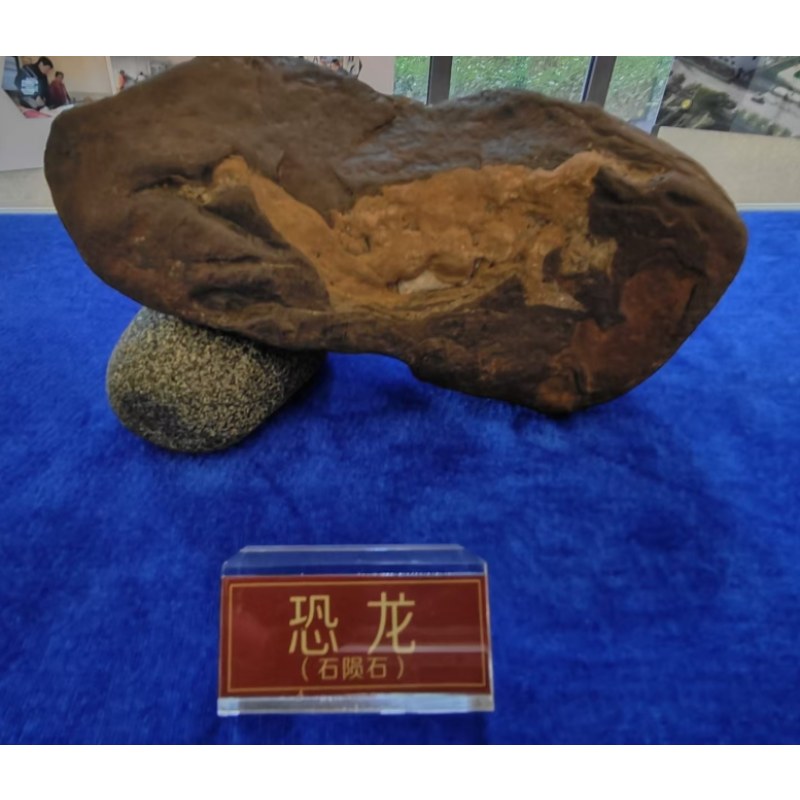 恐龙（石陨石）