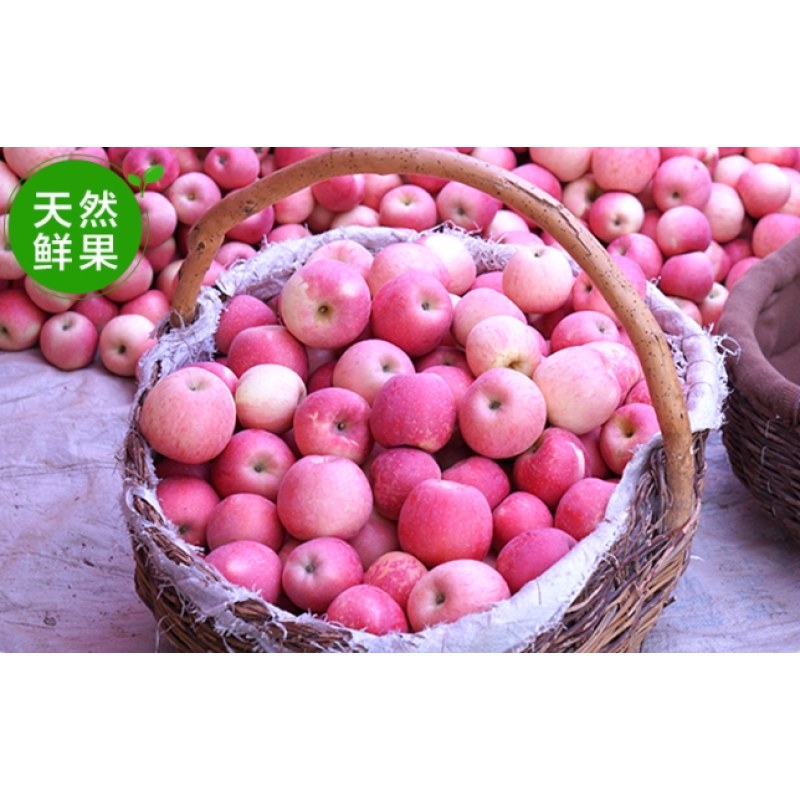 红富士苹果